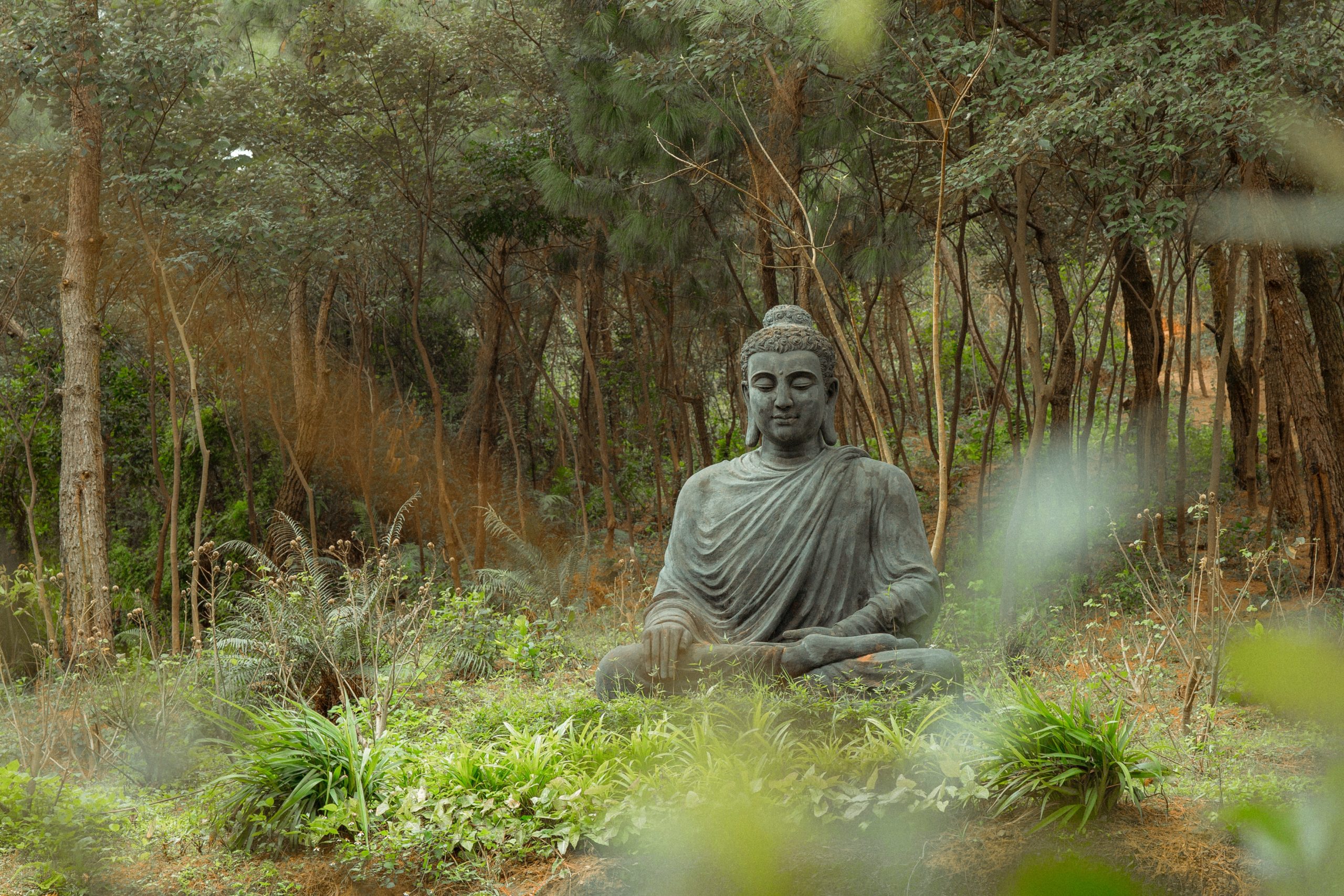 ¿Quién fue Siddharta Gautama? ¿Qué son las cuatro nobles verdades?